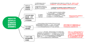 PAD4介导的NETosis_在溃疡性结肠炎中_作用及机制研究