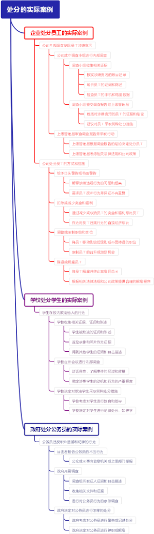 处分的实际案例