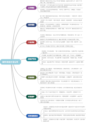 城市综合开发公司