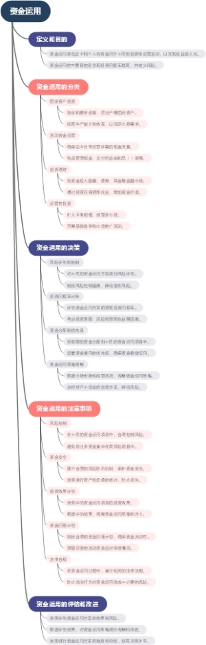 资金运用