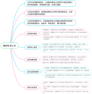 商业专业公司