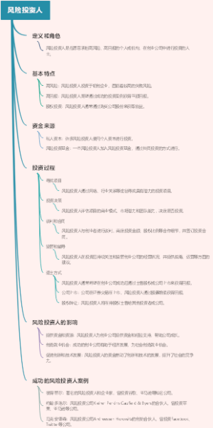 风险投资人