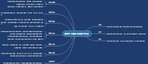 国家重大建设项目稽查办法