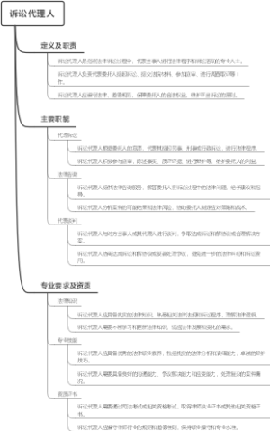 诉讼代理人