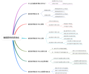 辅助费用的资本化