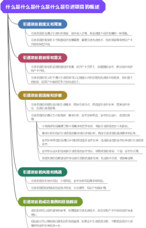 什么是什么是什么是什么是引进项目的概述