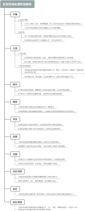 区别对待合理负担原则