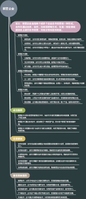 联营企业