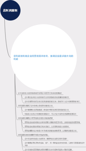 总利润原则