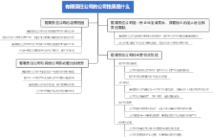 有限责任公司的公司性质是什么