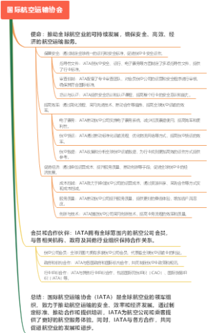 国际航空运输协会