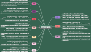 阿罗德布鲁均衡