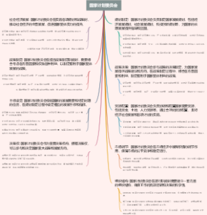 国家计划委员会