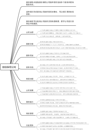 股份保险公司