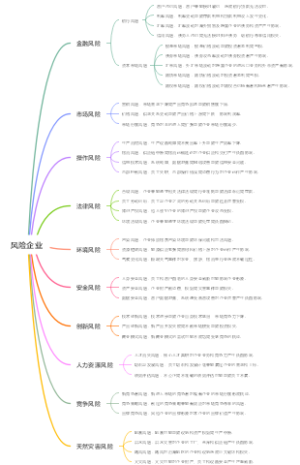 风险企业