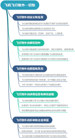 飞机飞行除外一切险
