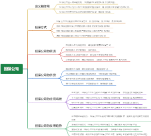 担保公司