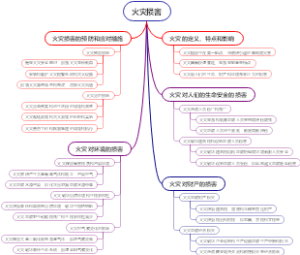 火灾损害