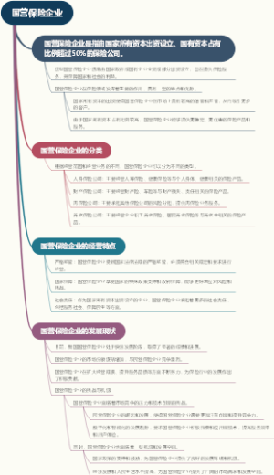 国营保险企业