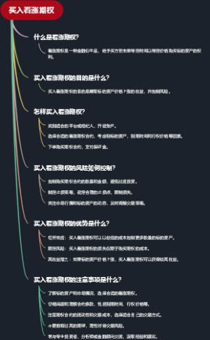 买入看涨期权
