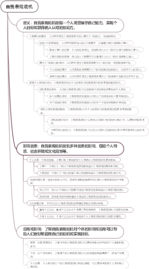 自我表现动机