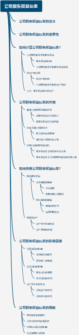 公司股东权益比率