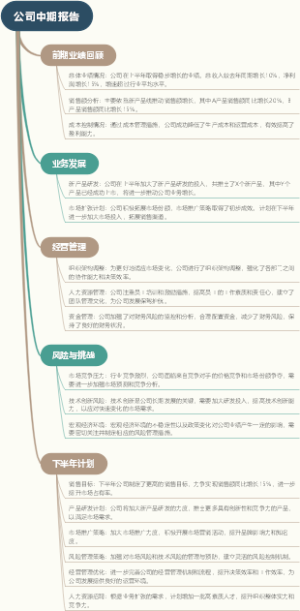 公司中期报告