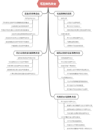 毛发颜色改变