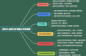 皮肌炎 面部红肿损害及手背损害