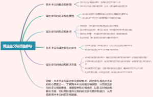 民主主义与政治参与