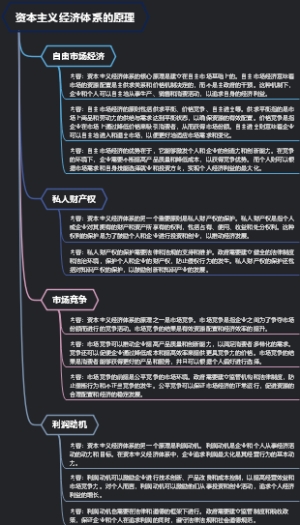 资本主义经济体系的原理