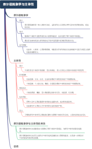 费尔德现象学与主体性