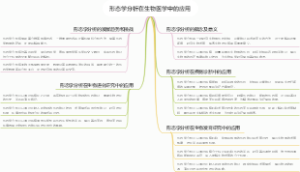 形态学分析在生物医学中的应用