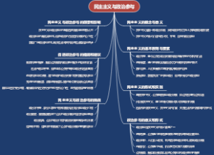民主主义与政治参与