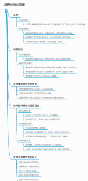反思与情感管理