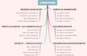 公有制的未来展望