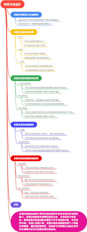 自我决定活动