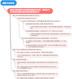 细胞分泌原理