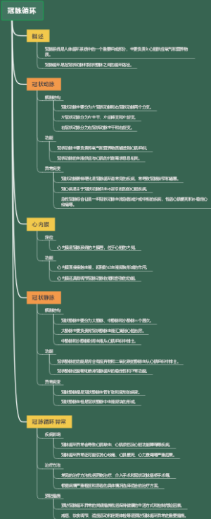 冠脉循环