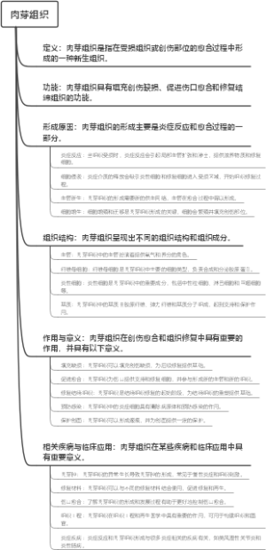 肉芽组织