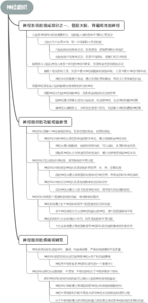 神经组织