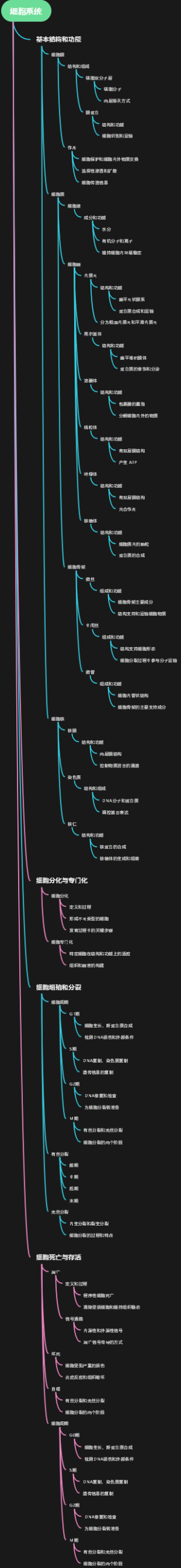 细胞系统
