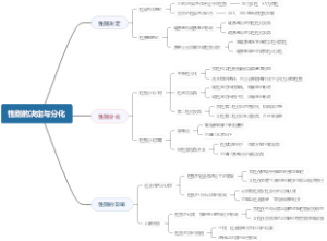 性别的决定与分化