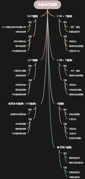 免疫淋巴细胞