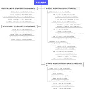 女性生殖系统