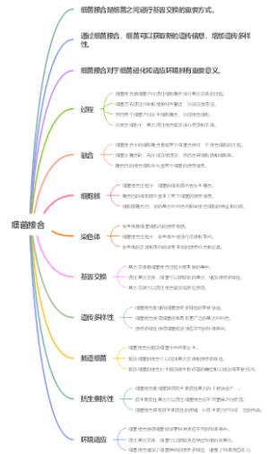 细菌接合