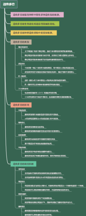 遗传多态