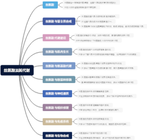 丝氨酸及其代谢