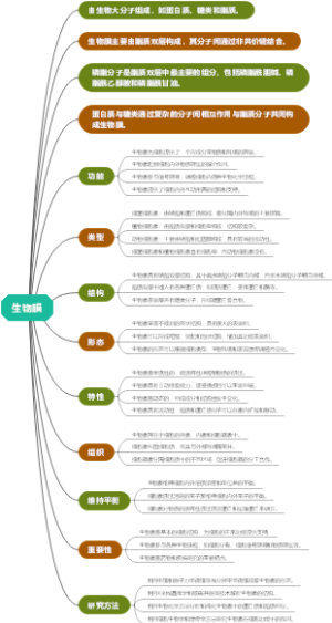 生物膜