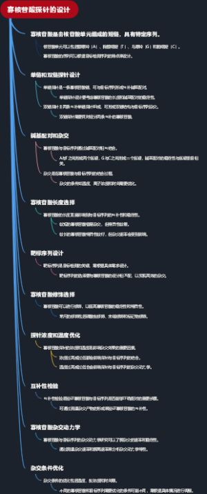 寡核苷酸探针的设计
